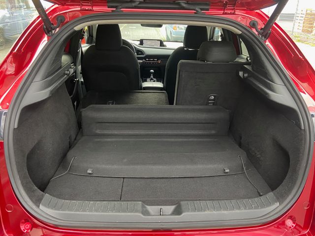 Fahrzeugabbildung Mazda CX-30 Selection , e-SKYAKTIV X*Head-Up*NAVI+RFK