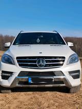 Mercedes-Benz Mercedes Benz ML 350 - Mercedes-Benz ML 350 Kombi Gebrauchtwagen