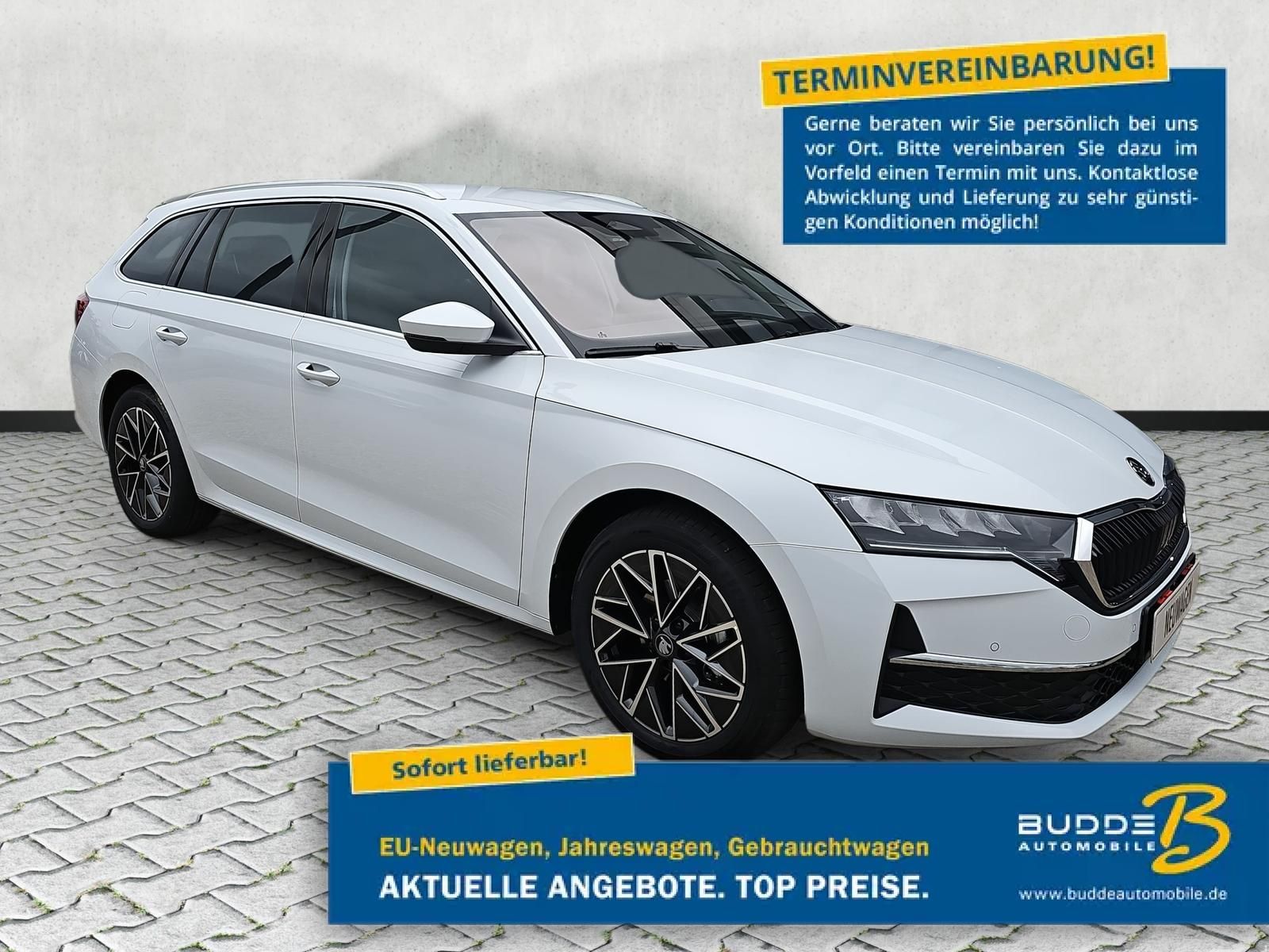 Skoda Octavia Combi 2.0 TDI DSG Selection ACC Navi AHK