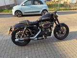 Harley-Davidson  XL1200CX Sportster Roadster - HARLEY-DAVIDSON ROADSTER