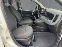 Fiat Panda - Vorschau Bild 11