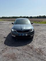 Skoda Rapid 1.2 TSI 81kW Green tec Joy Spaceback Joy - Skoda Rapid Joy mit Benzin-Antrieb