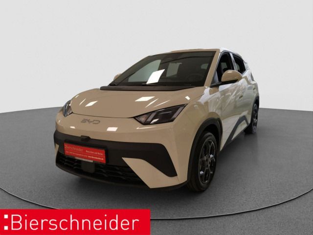BYD DOLPHIN SURF