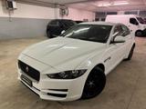 Jaguar JAGUAR XE 2.0 D 180 CV aut. Pure - Jaguar XE: Pure