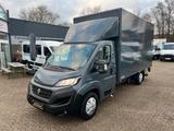 Fiat Ducato 2,3 Maxi XXL Koffer + Hebebühne*Garantie* - Fiat Ducato: X