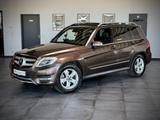 Mercedes-Benz GLK 250 4Matic *360°Kamera*TotwASS*SpurASS*Pano* - Mercedes-Benz GLK 250: mit Klimaautomatik
