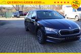 Skoda Octavia 1.5TSI DSG "130LET Premium" *Kessy*Ma... - Skoda Octavia Tageszulassungen