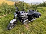 Triumph Bonneville T120 Diamond inkl. Koffer 1. Hand TOP - Angebote entsprechen deinen Suchkriterien
