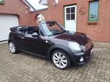 MINI Sehr gepflegtes Mini Cabrio. - MINI MINI mit Diesel-Antrieb: Cabrio