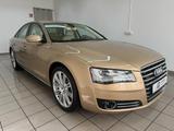 Audi A8 4.2 FSI qu. "SAUGER" Audi-Exclusive Nur 69Tkm - Audi A8: Limousine