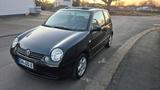 Volkswagen VW Lupo 1.0 mit Faltdach Alu Felgen TÜV - Volkswagen Lupo: Faltdach