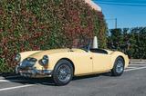 MGA 1600 Mk1 Roadster - MG MGA aus 1958 mit Benzin-Antrieb: Cabrio