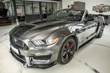 Ford Mustang CABRIO 3.7 SHELBY GT350 FACELIFTLEDER NA - Ford: Shelby