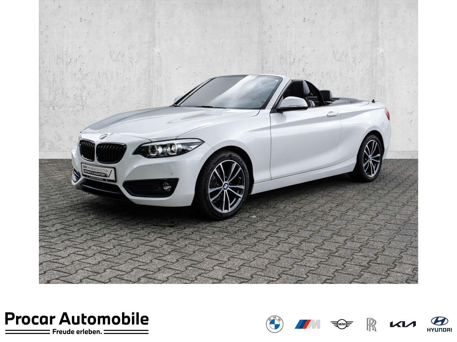 BMW 218d Cabrio Sport Line NAVI LED PDC V+H Klima