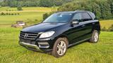 Mercedes-Benz ML 350 4 Matic BlueEfficiency schwarz  - Mercedes-Benz 350: M350