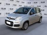 Fiat FIAT Panda 1.2 69cv Young - Fiat Panda: Young