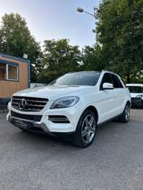 Mercedes-Benz CDI, P-DACH, ST-HEIZUNG, S-HEFT - Mercedes-Benz ML 350 Gebrauchtwagen in Stuttgart