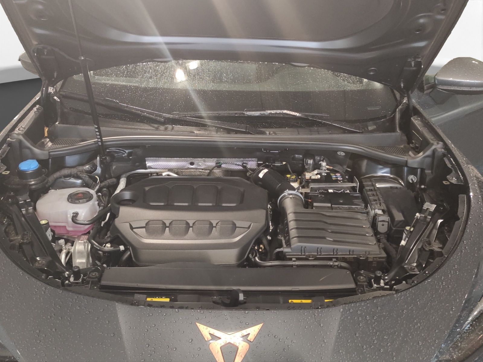 Cupra Terramar - Bild 19