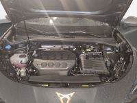 Cupra Terramar - Vorschau Bild 19