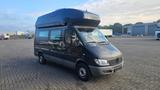 Westfalia James Cook - Westfalia James cook