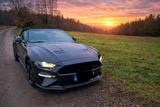 Ford Mustang 5.0 Ti-VCT V8 GT California Special