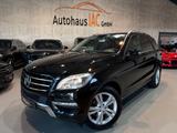 Mercedes-Benz ML 350/CDI/BlueTec/AHK/SBL/STHZ/LED/360*/TOTW - Mercedes-Benz ML 350: Cdi