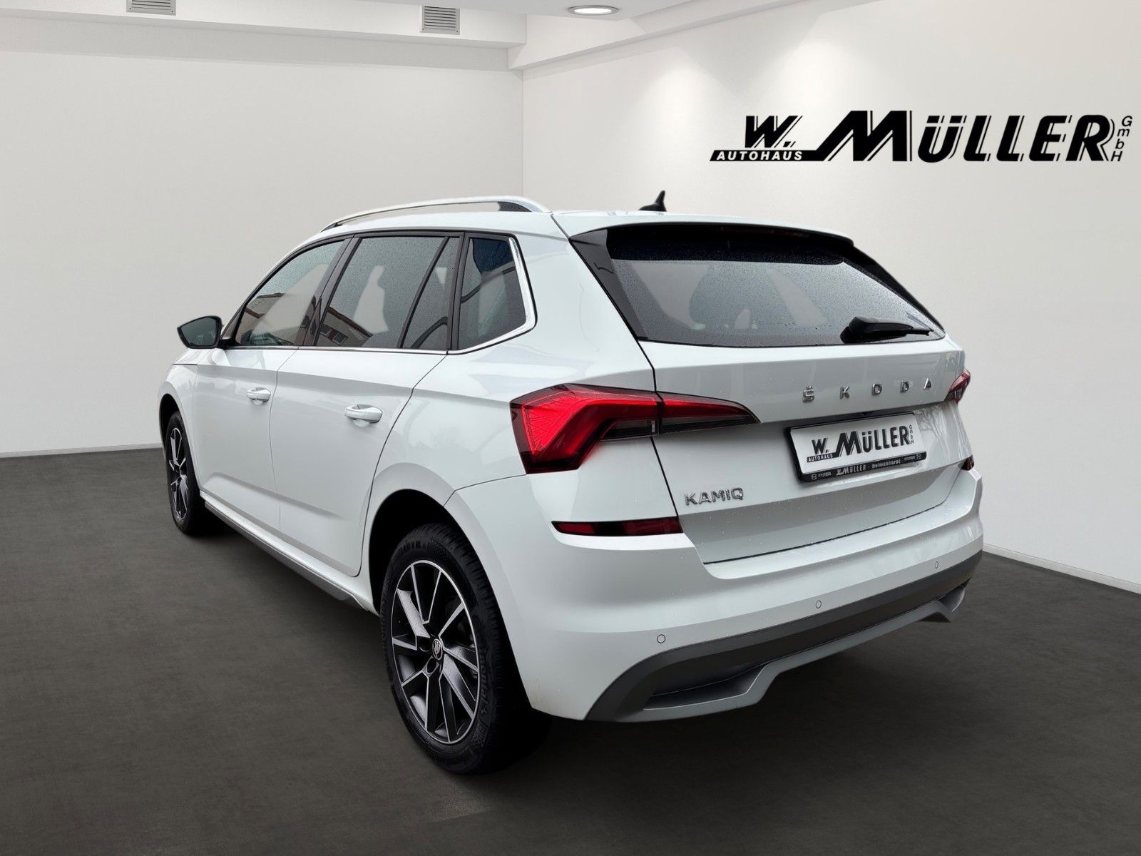 Fahrzeugabbildung SKODA Kamiq Style