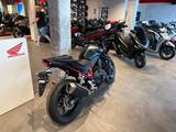 Honda CB750 Hornet 2026 Black *sofort verfügbar* - NAKED BIKE VON 501 BIS 750 CCM