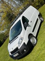 Peugeot Expert Kastenwagen Bulli Camper Tr... - Peugeot Expert aus 2014