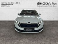 Skoda Octavia - Vorschau Bild 2