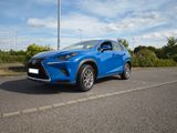 Lexus NX 300h Amazing Edition AHK/ACC/VZE/SHZ/LHZ - Lexus aus 2021