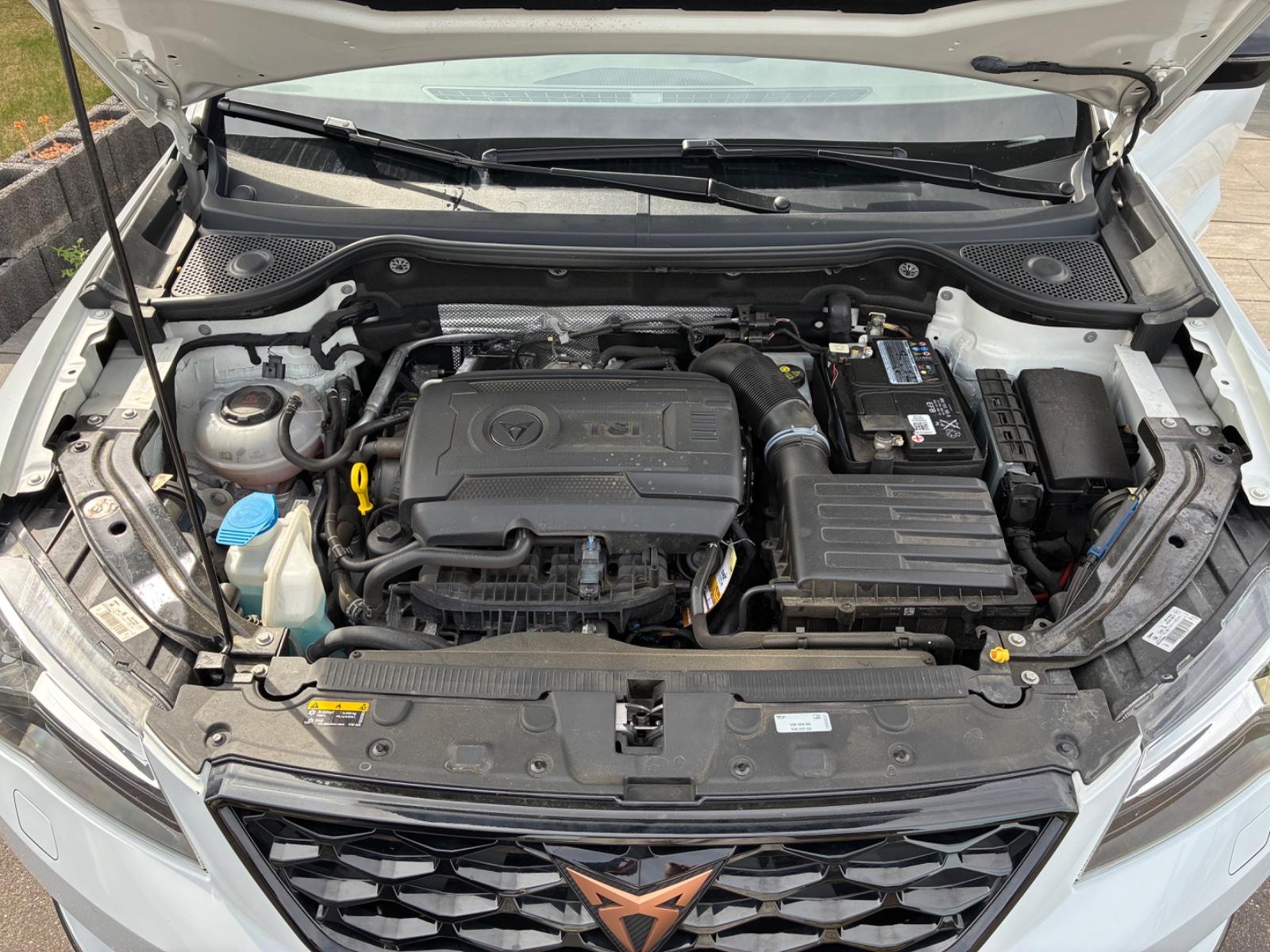 Cupra Ateca 2.0 TSI 4Drive | 300 PS | 2. Hand | 