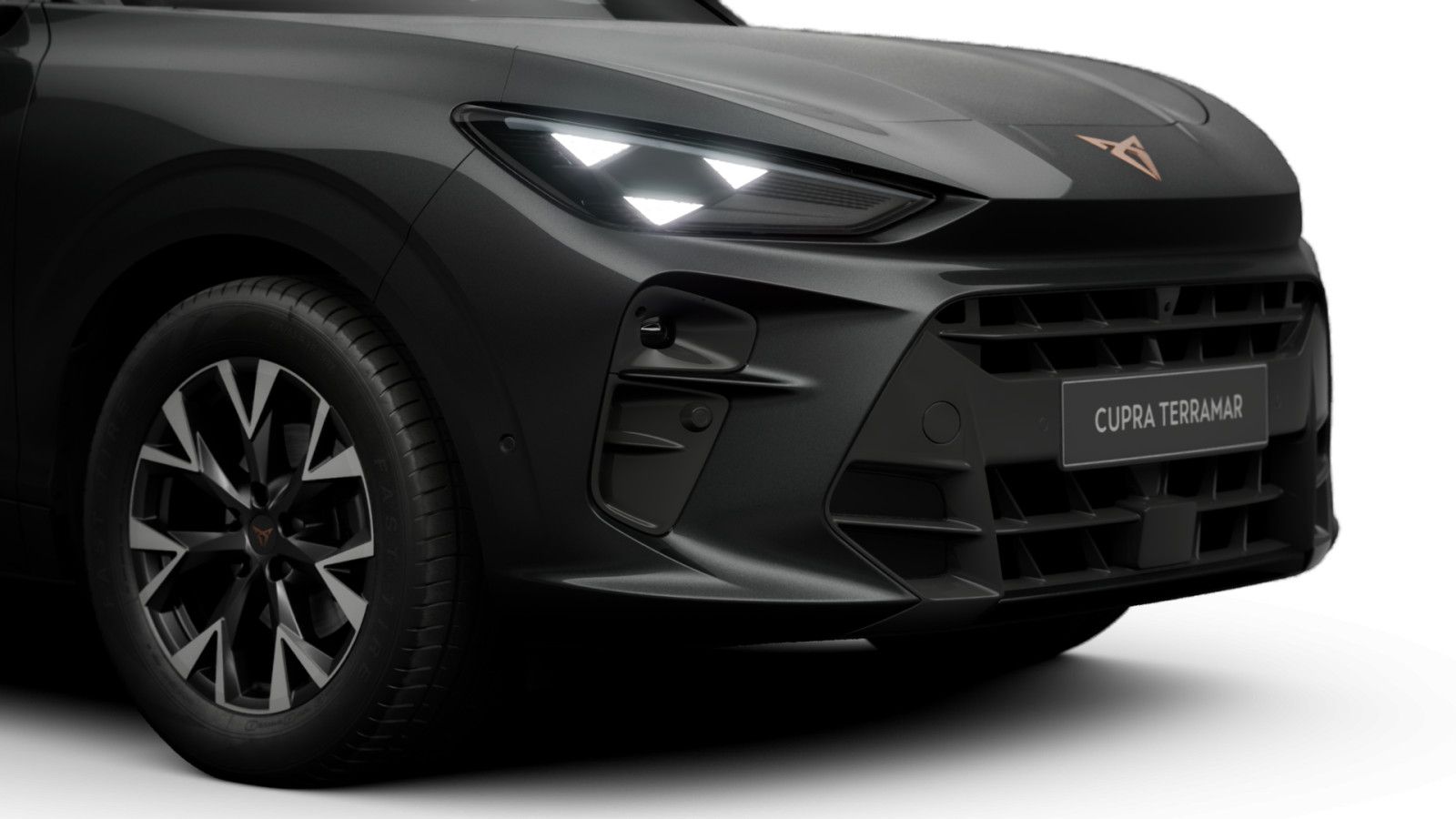 Cupra Terramar - Bild 10