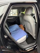 Audi Q3 1.4 TFSI cylinder on d. S tronic design d... - Audi Q3 design mit Benzin-Antrieb