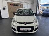 Fiat Panda Pop 1.2 8V - Fiat Panda: 1.1