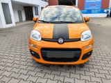 Fiat Panda - 1.2  Benzin  /  LPG  ab Werk.... - Fiat mit LPG-Antrieb