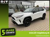 Toyota RAV4 2.5 Style Selection 4x4 ACC+LED+Navi+SHZ+36 - gebrauchte Toyota RAV 4 aus dem Jahr 2023