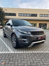 Land Rover Range Evoque 2.2 TD4 5p. British Edit - gebrauchte Land Rover Kombis