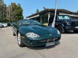 Jaguar XK XKR 4.0 Coupé /BELLISSIMA IN OTTIME CO - Jaguar XK: Grün