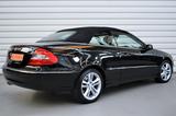 Mercedes-Benz CLK200 Avantgarde+Bi-Xenon+Navi+SHZ+39.500KM+PDC - aus 2009: Clk