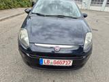 Fiat Punto Evo MyLife - Fiat Punto Evo in Stuttgart