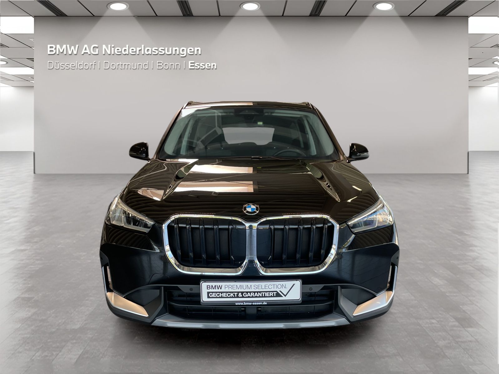 BMW X1 sDrive18i Kamera Driv.Assist Sitzheizung foto 5