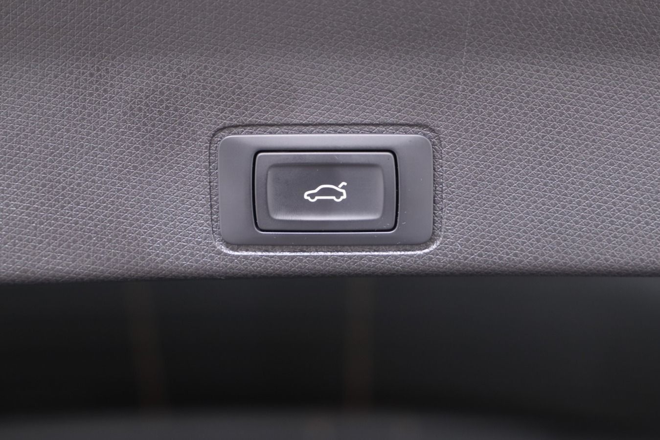 Cupra Terramar - Bild 15