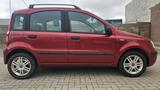 Fiat Panda 1.2 8V, Klima,Radio-CD, Lm, tüv 10/ 2027 - gebrauchte Fiat Panda aus dem Jahr 2005