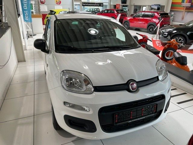 Fiat Panda Pandina Icon 1.0 Mild Hybrid 5-Sitzer imagem 2