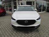 Mazda CX-30 5WGN 2.5L e-SKYACTIV G 140 FWD Prime-Line - Mazda CX-30 in Dresden