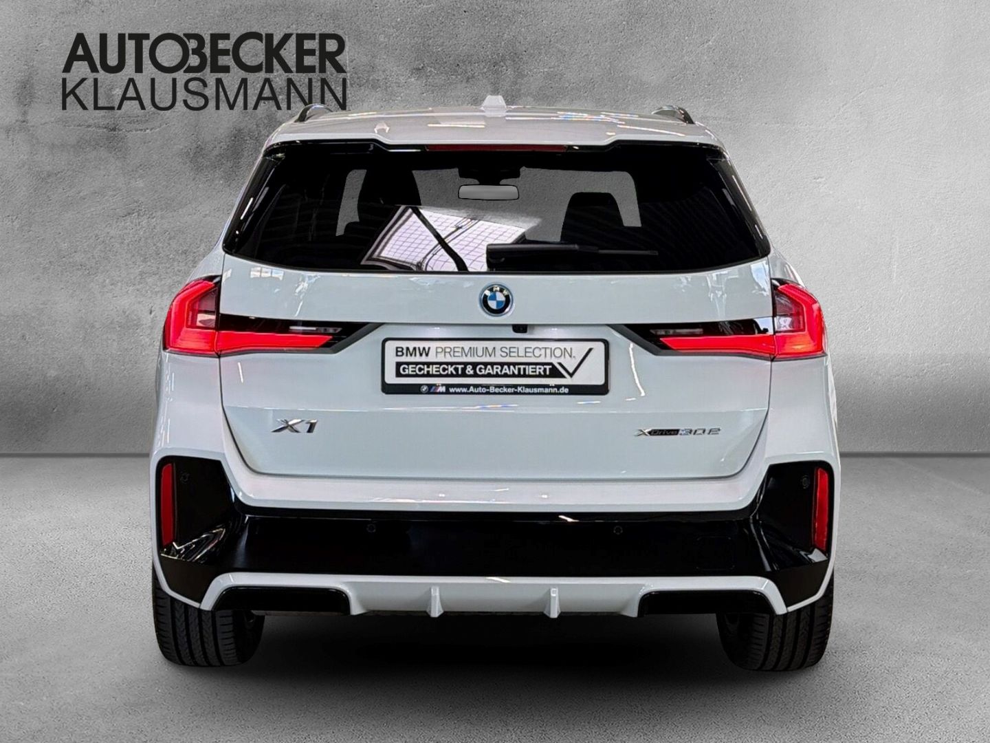 BMW X1 xDrive30e M Sport 18''LC PROF HuD AHK 360°PAR foto 6