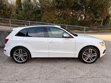 Audi SQ5 3.0 TDI quattro *BICOLOR* - Audi SQ5: TDI