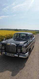 Mercedes-Benz 220 - Mercedes-Benz 220 mit Benzin-Antrieb: Leder