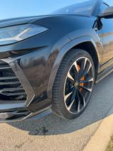 Lamborghini Urus 4.0 V8 Autom. - - Lamborghini Urus von privat